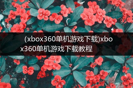 （xbox360单机游戏下载)xbox360单机游戏下载教程