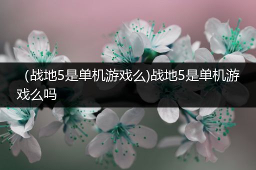 （战地5是单机游戏么)战地5是单机游戏么吗