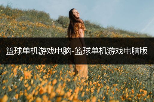 篮球单机游戏电脑-篮球单机游戏电脑版