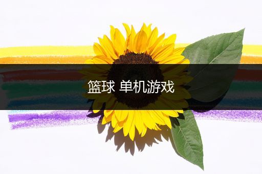 篮球 单机游戏