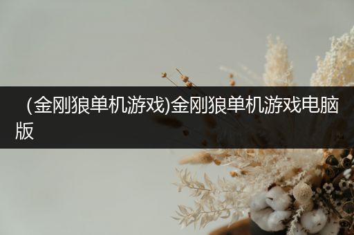 （金刚狼单机游戏)金刚狼单机游戏电脑版