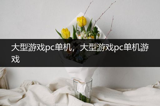 大型游戏pc单机，大型游戏pc单机游戏