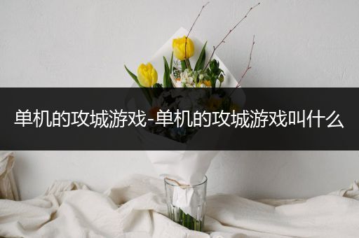 单机的攻城游戏-单机的攻城游戏叫什么