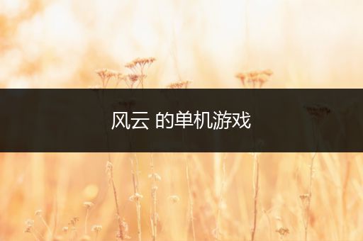 风云 的单机游戏