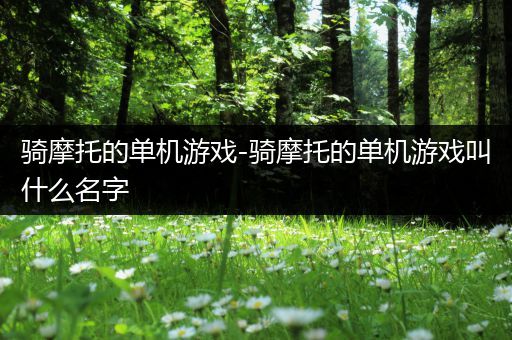 骑摩托的单机游戏-骑摩托的单机游戏叫什么名字