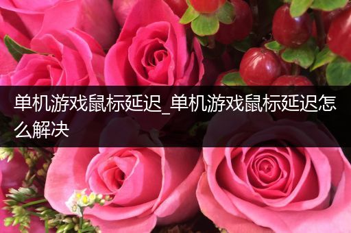 单机游戏鼠标延迟_单机游戏鼠标延迟怎么解决