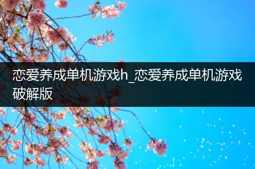 恋爱养成单机游戏h_恋爱养成单机游戏破解版