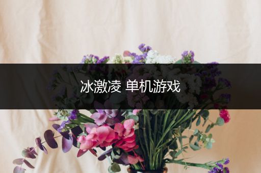 冰激凌 单机游戏