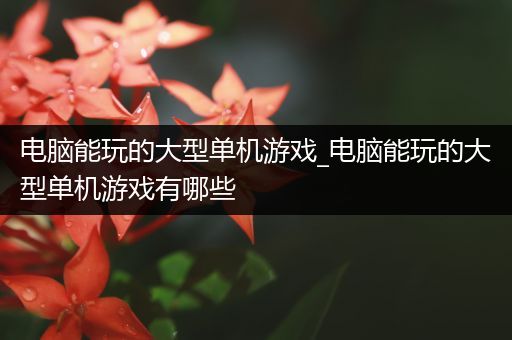 电脑能玩的大型单机游戏_电脑能玩的大型单机游戏有哪些