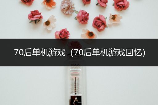 70后单机游戏（70后单机游戏回忆）