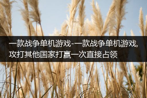 一款战争单机游戏-一款战争单机游戏,攻打其他国家打赢一次直接占领