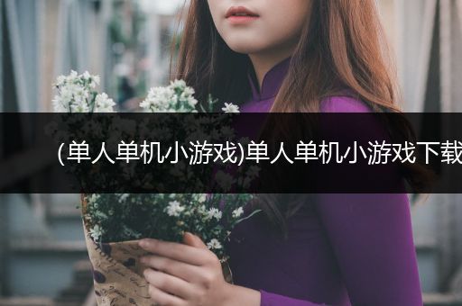 （单人单机小游戏)单人单机小游戏下载