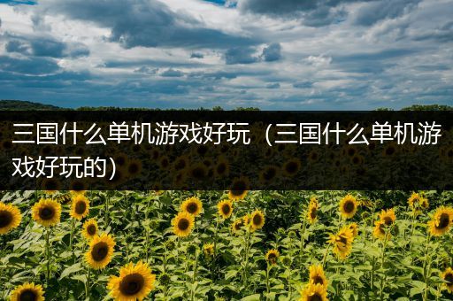 三国什么单机游戏好玩（三国什么单机游戏好玩的）