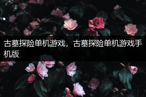 古墓探险单机游戏，古墓探险单机游戏手机版