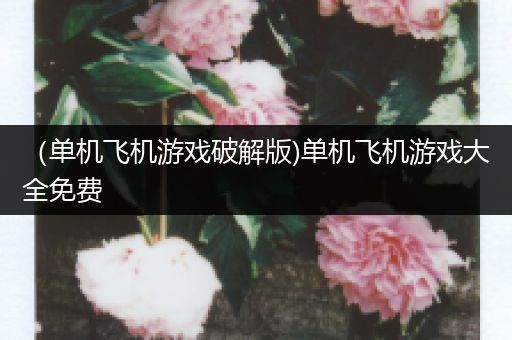 （单机飞机游戏破解版)单机飞机游戏大全免费