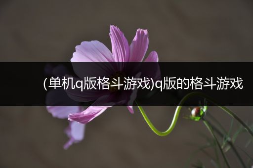 （单机q版格斗游戏)q版的格斗游戏