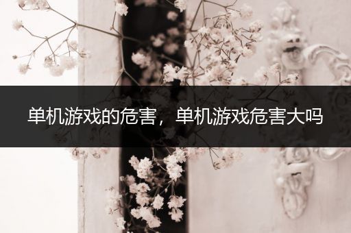 单机游戏的危害，单机游戏危害大吗