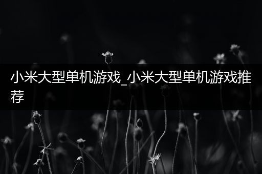 小米大型单机游戏_小米大型单机游戏推荐