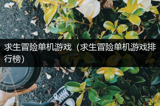 求生冒险单机游戏（求生冒险单机游戏排行榜）