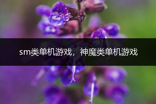 sm类单机游戏，神魔类单机游戏
