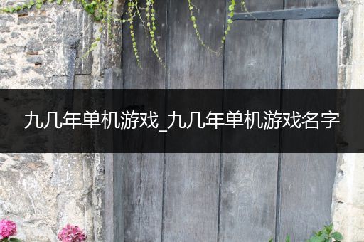 九几年单机游戏_九几年单机游戏名字