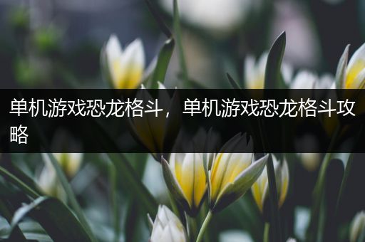 单机游戏恐龙格斗，单机游戏恐龙格斗攻略