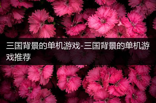 三国背景的单机游戏-三国背景的单机游戏推荐