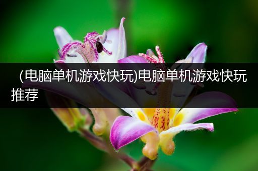 （电脑单机游戏快玩)电脑单机游戏快玩推荐