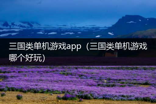 三国类单机游戏app（三国类单机游戏哪个好玩）