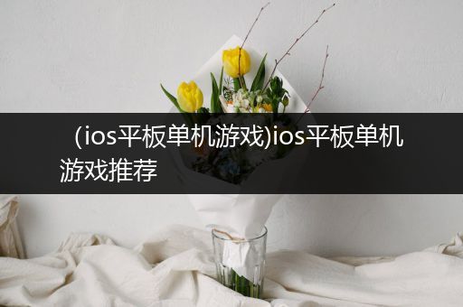 （ios平板单机游戏)ios平板单机游戏推荐