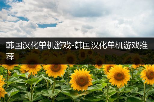 韩国汉化单机游戏-韩国汉化单机游戏推荐
