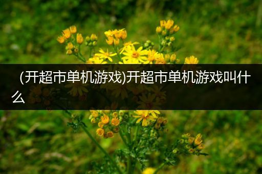 （开超市单机游戏)开超市单机游戏叫什么