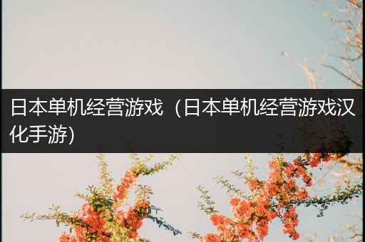 日本单机经营游戏（日本单机经营游戏汉化手游）
