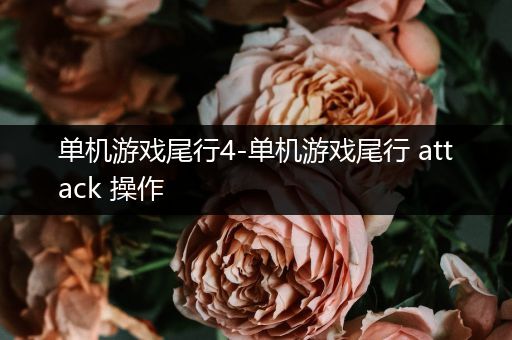 单机游戏尾行4-单机游戏尾行 attack 操作