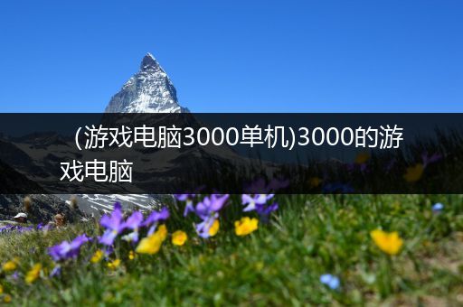 （游戏电脑3000单机)3000的游戏电脑