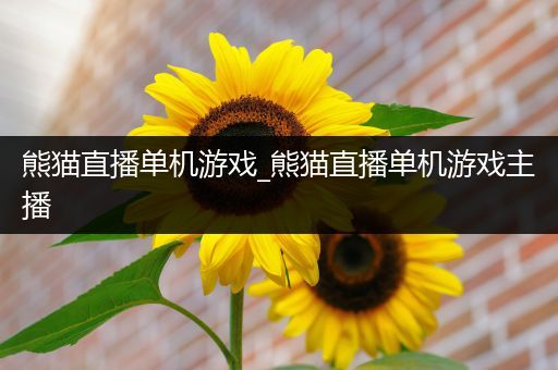 熊猫直播单机游戏_熊猫直播单机游戏主播
