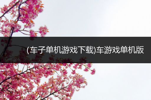 （车子单机游戏下载)车游戏单机版