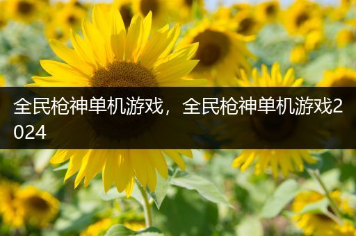 全民枪神单机游戏，全民枪神单机游戏2024