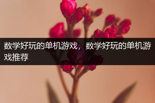 数学好玩的单机游戏，数学好玩的单机游戏推荐