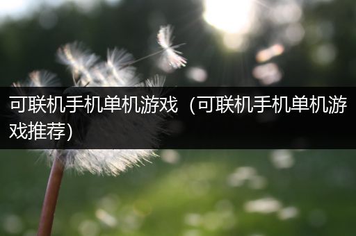 可联机手机单机游戏（可联机手机单机游戏推荐）