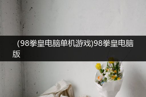 （98拳皇电脑单机游戏)98拳皇电脑版