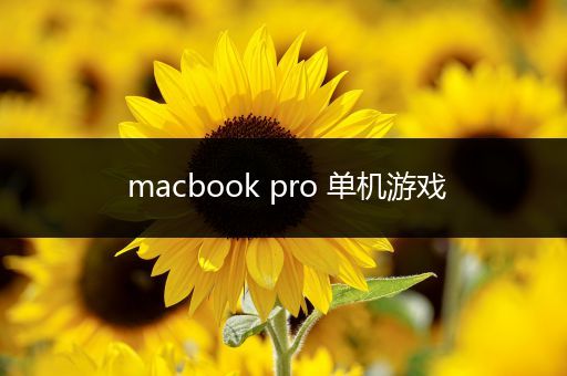 macbook pro 单机游戏