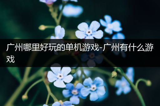 广州哪里好玩的单机游戏-广州有什么游戏