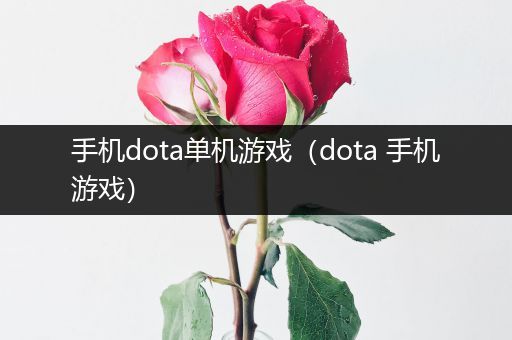 手机dota单机游戏（dota 手机游戏）
