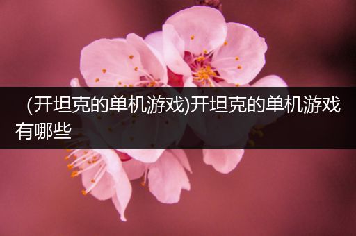 （开坦克的单机游戏)开坦克的单机游戏有哪些