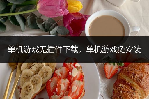 单机游戏无插件下载，单机游戏免安装