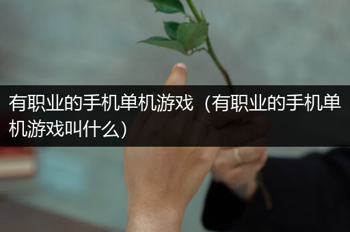 有职业的手机单机游戏（有职业的手机单机游戏叫什么）