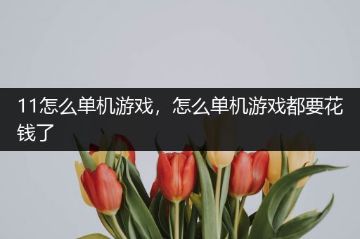 11怎么单机游戏，怎么单机游戏都要花钱了