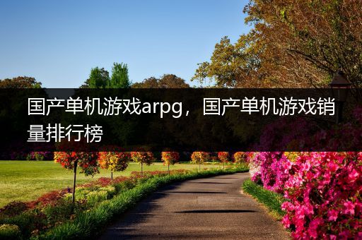 国产单机游戏arpg，国产单机游戏销量排行榜