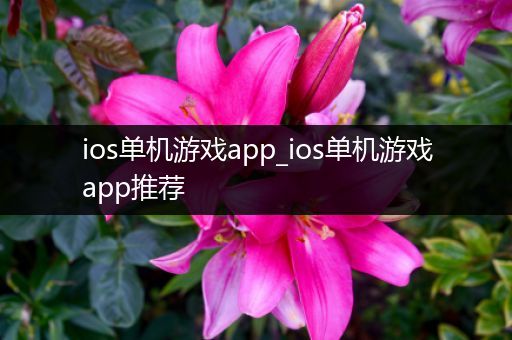 ios单机游戏app_ios单机游戏app推荐
